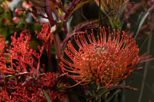 Schnittblumenstrauß „Exoten Maik“